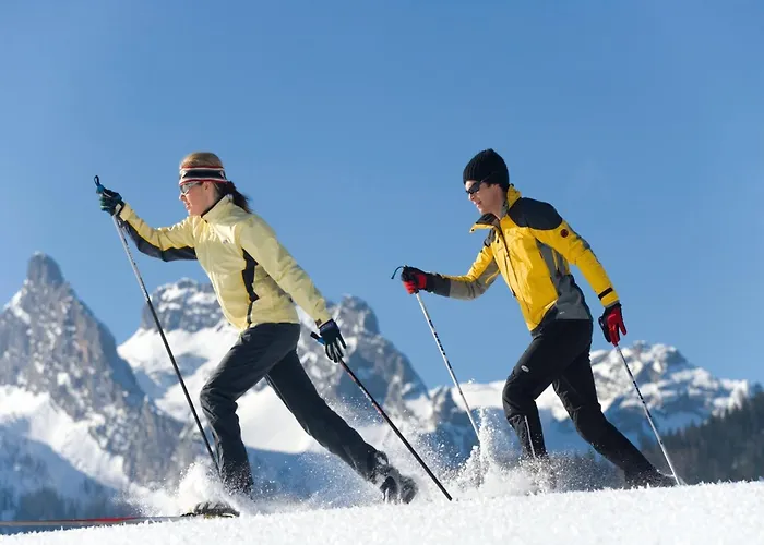 In Neukirchen By Wildkogel Lift *
