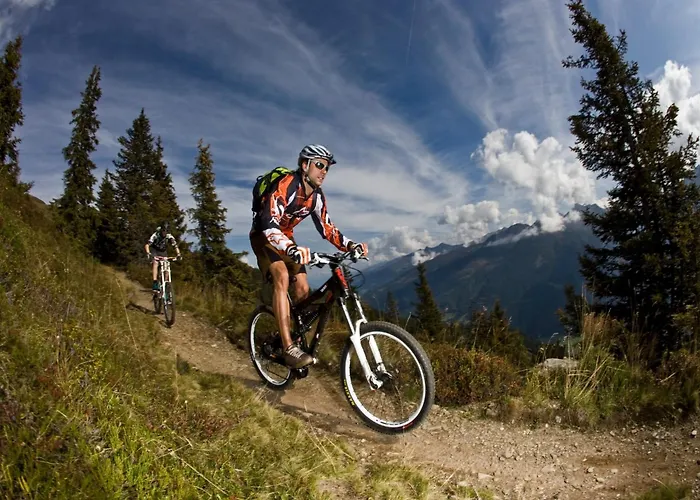 In Neukirchen By Wildkogel Lift 公寓